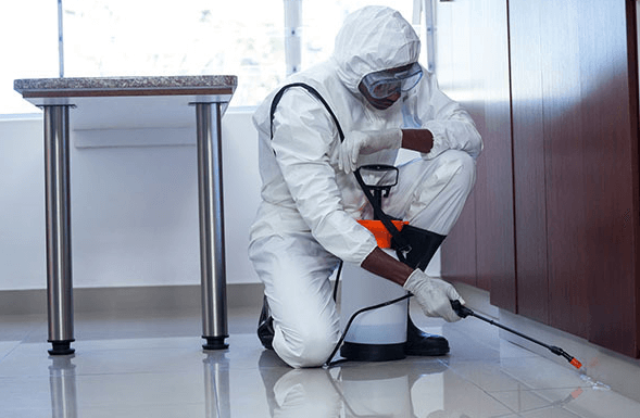 Pest Control is an Essential Factor in Maintaining a Clean And Healthy Environment