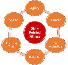 What Are The Components Of Skill Related Fitness