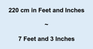 Get most out of 220 cm to feet
