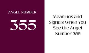 What to look for in 355 angel number