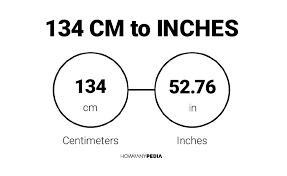 134 cm to inches