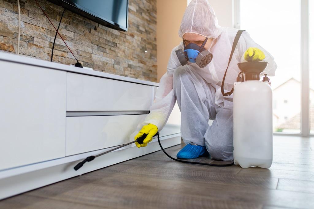 How Will Exterminators Deal with Pests in My Home/Business?